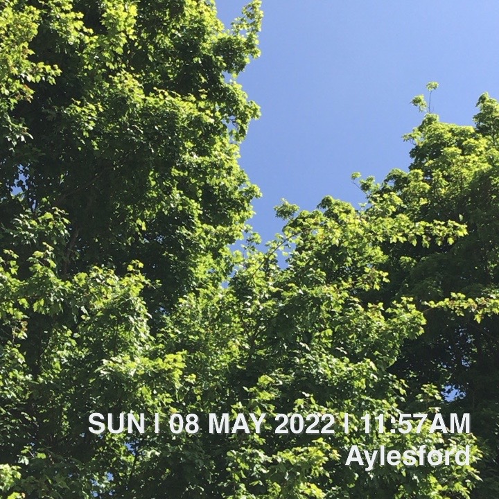 Daily Photo: 08 May 2022